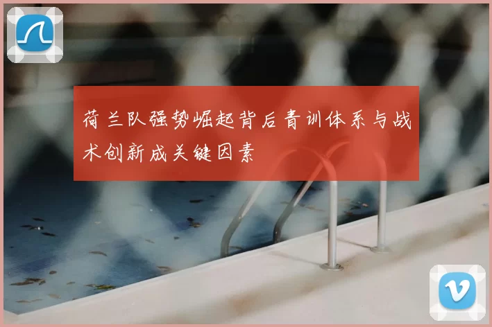 荷兰队强势崛起背后青训体系与战术创新成关键因素