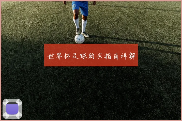 世界杯足球购买指南详解