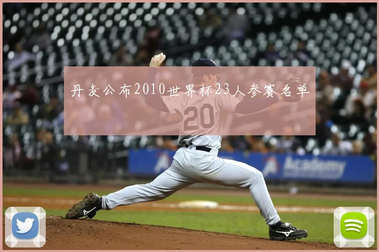 丹麦公布2010世界杯23人参赛名单
