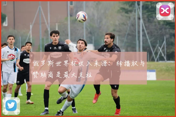 俄罗斯世界杯收入来源:转播权与赞助商是最大支柱
