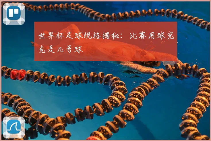 世界杯足球规格揭秘:比赛用球究竟是几号球