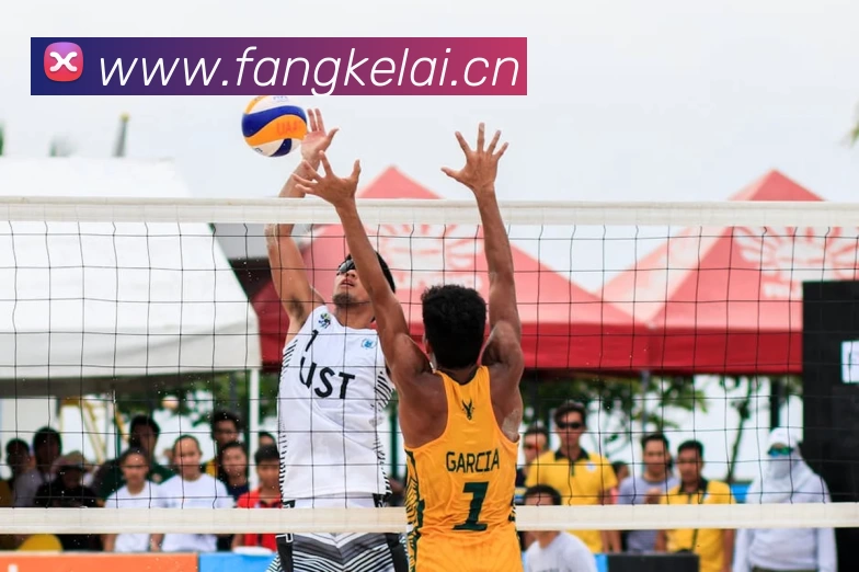 滚球官网app平台生态图