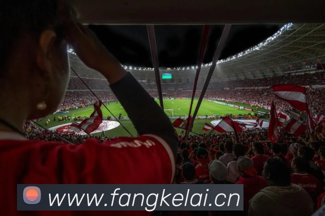 滚球官网appAPP 封面图